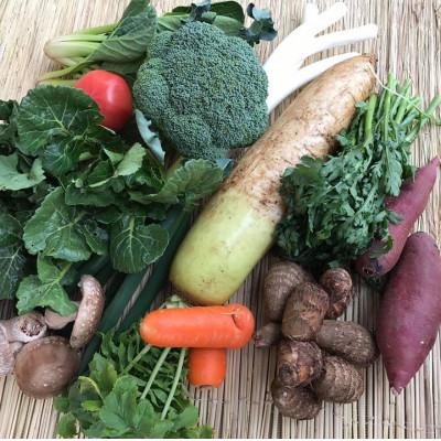 ふるさと納税 行方市 『身体が喜ぶ野菜』(おまかせ10〜12品) |  | 01