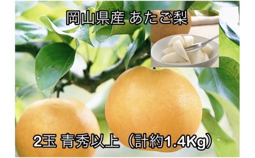 【2026年発送】岡山県産 あたご梨2玉 青秀以上 (計約1.4kg)化粧箱入り