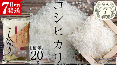 ＼ 最短7営業日以内に発送 ／【令和7年産】コシヒカリ 精米20kg（5kg×4袋）（茨城県共通返礼品 かすみがうら市）