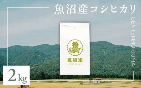 令和7年産 魚沼産コシヒカリ「亀福 原点復帰米」2kg(特別栽培米) 株式会社亀福 |津南町 魚沼産コシヒカリ