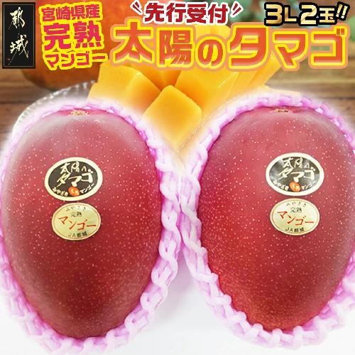 【先行受付!】宮崎県産完熟マンゴー 太陽のタマゴ【3L×2玉】化粧箱入り≪2026年5月中旬以降順次お届け≫_AF-0115