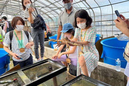 【体験】見て・触って・学べる！やんばるタッチプール＆飼育体験チケット（２名様）