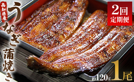 【2回定期便】うなぎ蒲焼き120g 1尾(無頭) 【 うなぎ 定期便 国産 うなぎ 定期便 かばやき うなぎ 定期便 】 Wun-0019