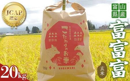 《数量限定》令和7年度産 富富富 玄米 20kg 米 お米 新米 ごはん おにぎり 富山 立山 北アルプス 健康志向 JGAP認定 F6T-848