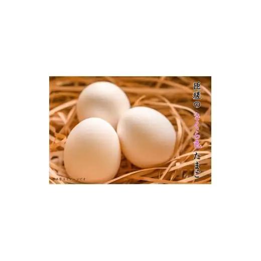 匝瑳の“さくら色”たまご　Lサイズ　贈答用120個 ／ 卵 タマゴ 玉子 たまご さくら色たまご 新鮮 千葉県 匝瑳市 送料無料 120個