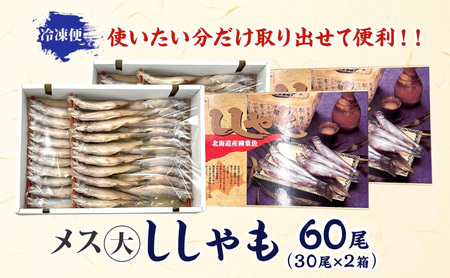 北海道産 ししゃもメス 大60尾(30尾×2箱) 北海道 稀少 魚 シシャモ メス おつまみ 魚貝類 海鮮 干物 本物 人気 希少 塩 味付け 脂のり 旨み 美味しい 大きい グルメ 惣菜 酒の肴 国
