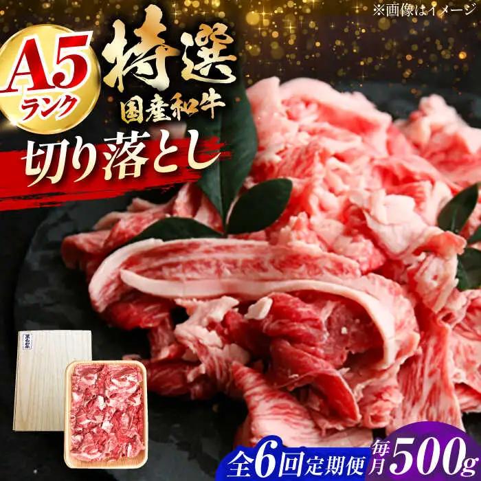 【全6回定期便】国産和牛切落し 500ｇ[AOAI051]切り落とし