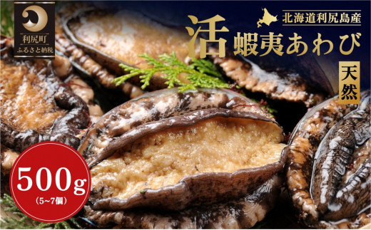 【2026年発送受付】活アワビ500g（5～7個） 天然蝦夷アワビ北海道利尻島産【10月下旬～12月下旬発送】