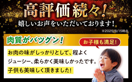 しまね和牛サイコロステーキ【訳あり】 600g 有限会社宮本食肉店 [ALCV003] サイコロステーキ