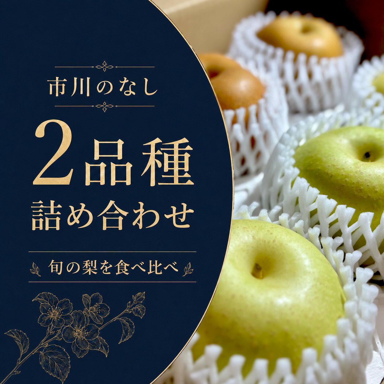 【ふるさと納税】市川のなし「2品種詰め合わせ」　3kg（5～9玉）　【12203-0441】 なし ナシ 市川のなし 果物 くだもの フルーツ 市川市 村越新四郎梨園