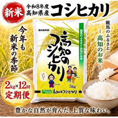 ふるさと納税 室戸市 新米 令和8年度 高知県産 コシヒカリ2kg 12回定期便 人気 米 お米