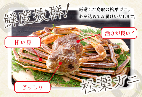 【活き】ご自宅用松葉ガニ　中　3枚