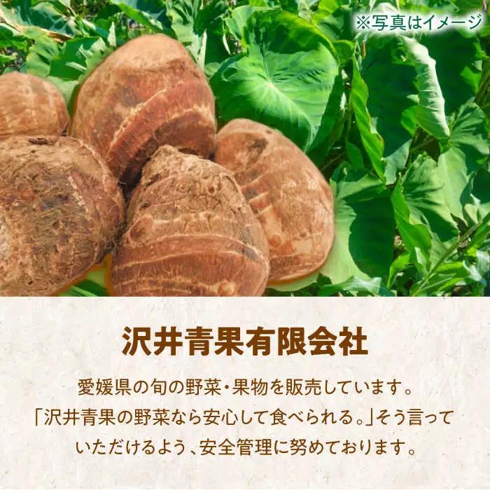 【冷凍】洗い 里芋 500g×3袋 里芋【10月上旬から順次発送】 [AGBN039]