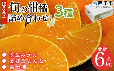 ＜12月発送！旬の柑橘 詰め合わせセット 3種×各2kg＞ 果物 フルーツ みかん ミカン 蜜柑 柑橘 オレンジ マドンナ 晩生みかん 愛媛まどんな 富士柿 かき 特産品 宇都宮物産 愛媛県 西予市【常温】『12月に順次出荷予定』UUB0078