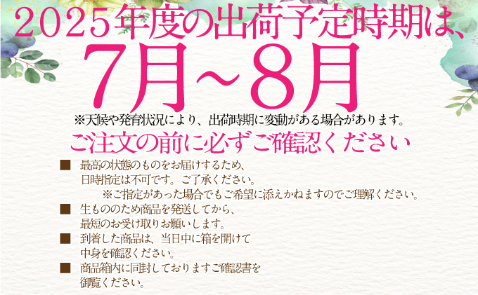 2025年予約受付中 シャインマスカット 晴王 7月8月に1回づつ出荷 2回　定期便 2房 約1.4kg  人気 岡山県産 種無し 皮ごと食べる みずみずしい  フレッシュ 晴れの国 おかやま 果物大