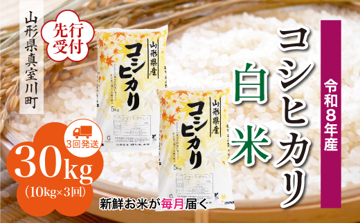 ＜令和8年産米先行受付＞ 真室川町産 こしひかり 【白米】 定期便 30kg （10kg×1ヶ月間隔で3回お届け）＜配送時期指定可＞