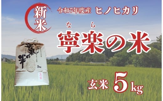 令和7年度 ヒノヒカリ 玄米 5kg 寧楽の米 数量限定 ひのひかり ご飯 ごはん 米 お米 おにぎり 農家直送 奈良県 奈良市 なら 14-055