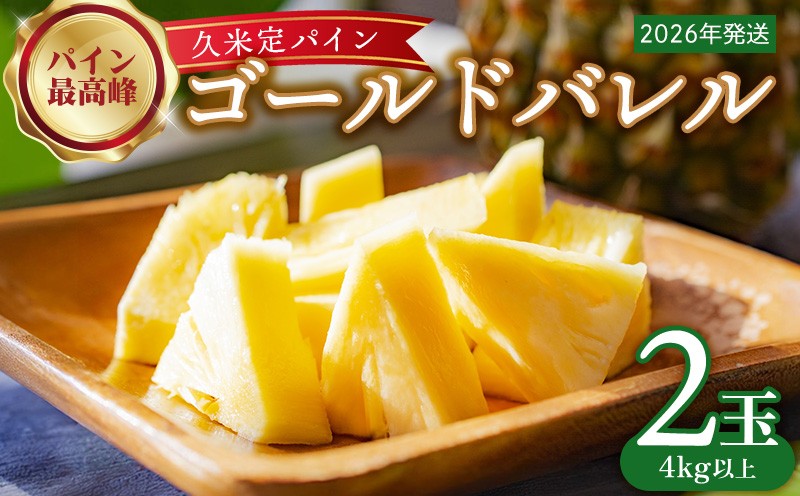 
                  【2026年発送】比屋定農園「久米定パイン」ゴールドバレル 2玉（4kg以上） パイナップル パイン 高級 最高峰 黄金色 大玉 糖度 濃厚 甘い 希少 樽型 フルーツ 果物 ジュース スムージー ケーキ アイス タルト 沖縄 久米島
                
