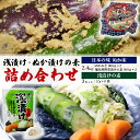 【ふるさと納税】 浅漬け ぬか漬け の 素 セット 浅漬け の 素 72 袋 ぬかみそ 2.4 kg 簡単 個包装 容器 付き ぬか床 完熟 発酵 食品 旨味 唐辛子 刻み 昆布