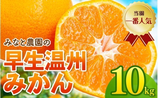【数量限定】みかん みなと農園の温州みかん 早生 約10kg 2S～Lサイズ混合 【2026年12月上旬頃〜順次発送】 みかん ミカン 蜜柑 温州みかん 温州ミカン 柑橘 フルーツ 果物 くだもの 甘い 旬 人気 果汁 濃厚 ジューシー デザート 産地直送 農家直送 みかん 国産 お取り寄せ 新鮮 期間限定 季節限定 先行予約 おすすめ 三重県 熊野市【mntf0010】
