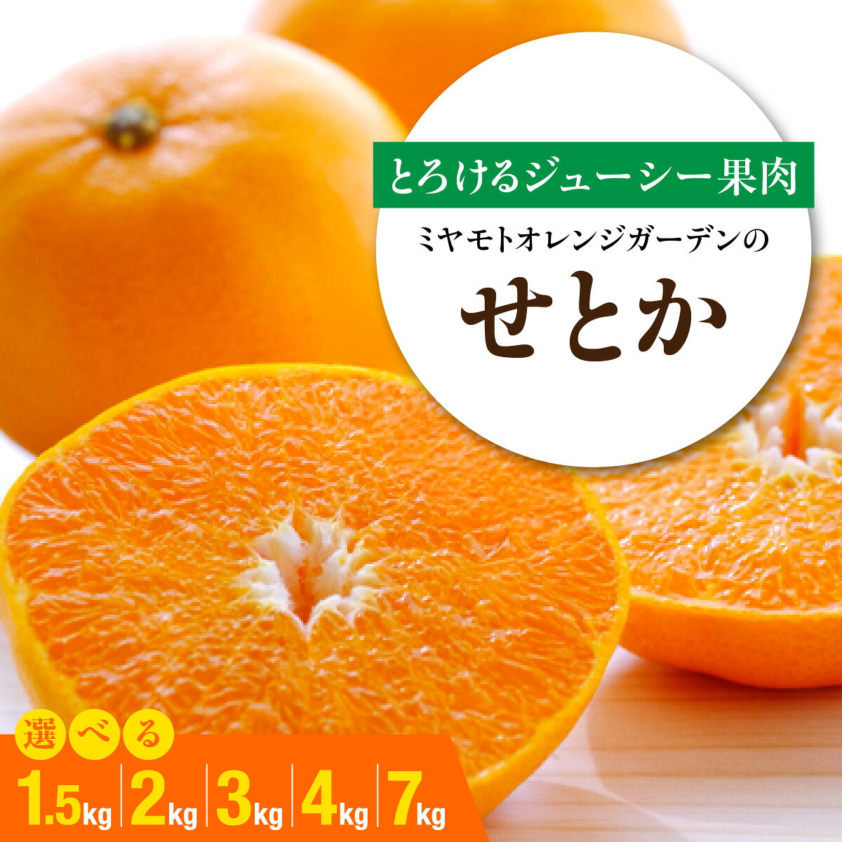 【ふるさと納税】【先行受付】 とろける濃厚果肉 せとか 選べる内容量 (1.5kg / 2kg / 3kg / 4kg / 7kg) 愛媛県八幡浜産【E25-37】 せとか 柑橘 フルーツ 果物 くだもの みかん 人気 おすすめ 送料無料 愛媛県 八幡浜 濃厚 甘い 【G1044414】 YWTAP028