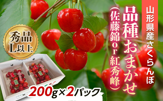 
【令和6年産先行予約】 さくらんぼ 「佐藤錦または紅秀峰」 400g (200g×2パック 秀品 L以上) 《令和6年6月下旬～発送》 『南陽中央青果市場』 小分け サクランボ 果物 フルーツ 市場直送 山形県 南陽市 [1475]
