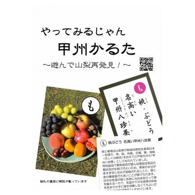 ふるさと納税 山梨県 「やってみるじゃん甲州かるた」とオリジナルクリアファイル |  | 01
