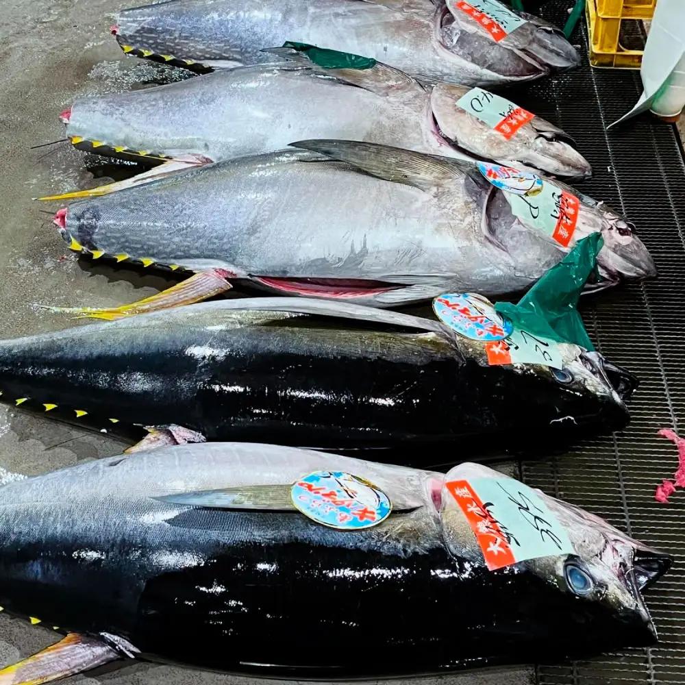 マグロのネギトロ お試しセット 約200g（約1?2人前）薬味・醤油付き 高知県土佐市 【さかなの森澤　マル祐】 [BQAM014]