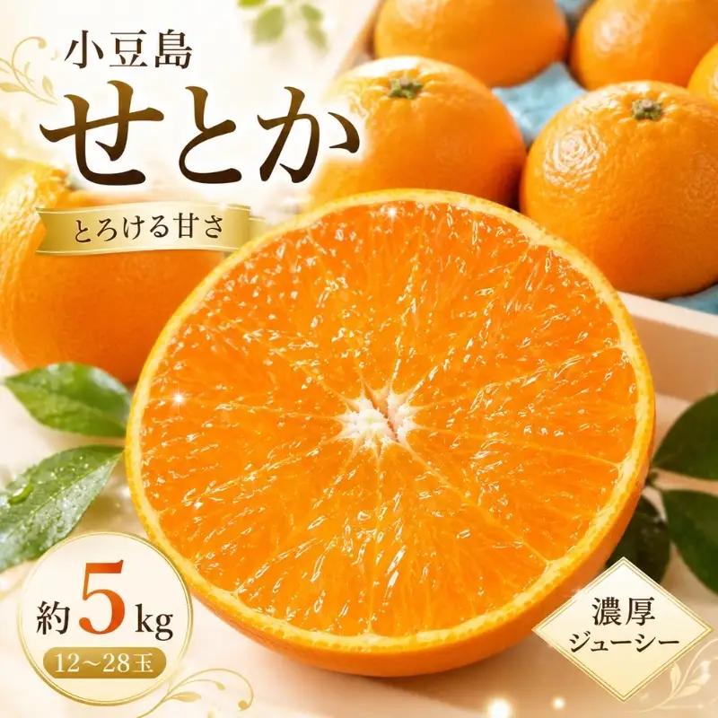 せとか 柑橘 フルーツ 小豆島産 せとか【約5kg】