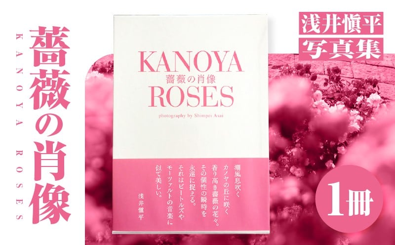 
1031 浅井愼平写真集　薔薇の肖像　KANOYA ROSES
