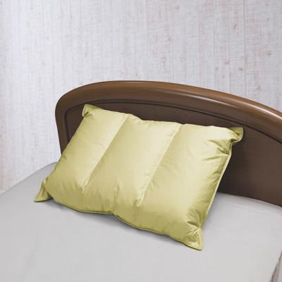 ふるさと納税 西郷村 眠りのプロが開発した、ソフトで安定感のある枕　　ダウンフィットピロー(カバー付) |  | 02