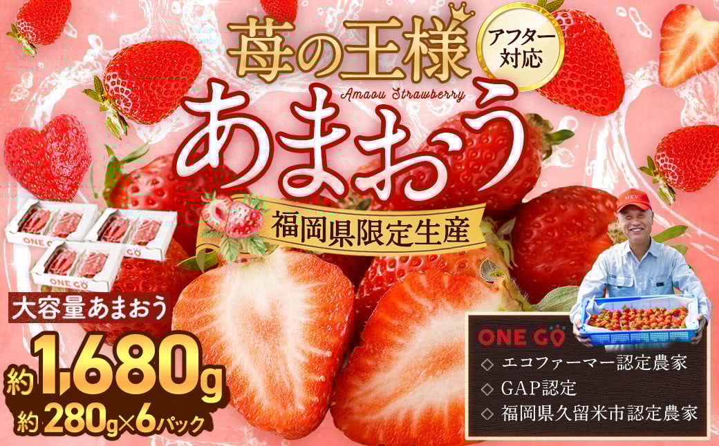 【寄附額改定↓】【予約受付】選べる大容量あまおう 1,680g 大粒 不揃い 選べる大容量あまおう （2L,グランデ,DX デラックス）減農薬 あまおう いちご 高級 いちごあまおう イチゴ 苺 フルーツ 果物 ふるさと納税くだもの amaou 福岡県 【2026年2月上旬～下旬発送予定】