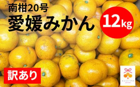 訳あり 愛媛みかん 南柑20号 12kg  みかん 蜜柑 果物 柑橘 フルーツ 傷 不揃い ゼリー ジュース ビタミンC 健康 美容 農園 直送 文旦 ポンカン 温州みかん 河内晩柑 せとか 紅まどんな レモン ブラッドオレンジ デコポン 不知火 みかん エニシトラス 愛媛県 愛南町