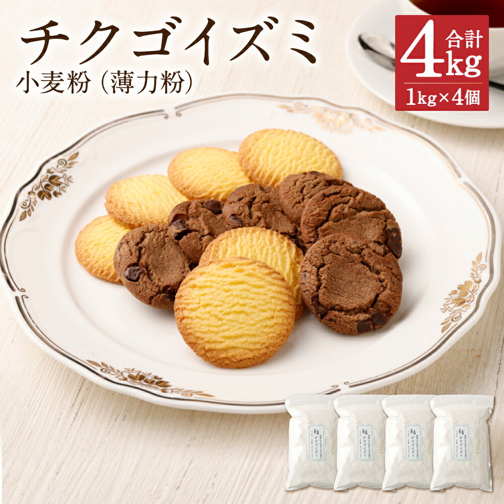 【ふるさと納税】チクゴイズミ 小麦粉 1kg×4個 合計4kg 粉 薄力粉 中力粉 うどん作り お菓子作り 栽培期間中農薬不使用 九州産 福岡県筑後市産 国産 送料無料