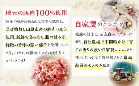  無添加 手造り 餃子 50個入 社龍の餃子