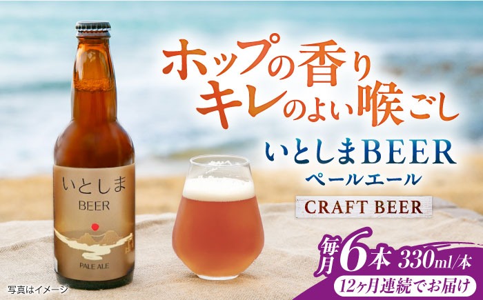 【全12回定期便】いとしまBEER (ペールエール) 330ml×6本 糸島市 / 蔵屋 クラフトビール[AUA052]