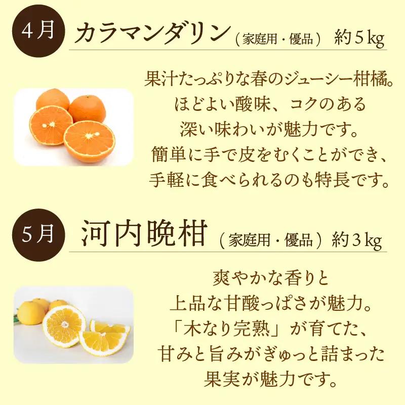 愛媛みかん おたのしみ定期便 全6回 紅まどんな 入り みかん 【KK335】