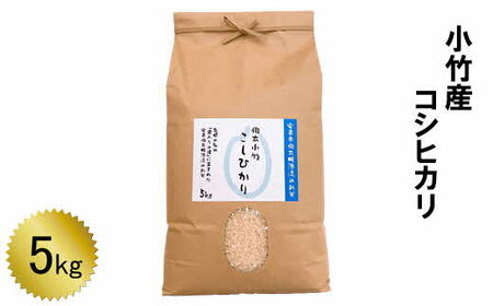 小竹産 コシヒカリ 5kg ［令和6年産］／ 新米 こしひかり 名水米 精米 白米