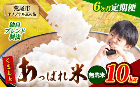 【6ヶ月定期便】 熊本県産 くまもとあっぱれ米 10kg  熊本県産 ふるさと納税  無洗米 精米 米 こめ ふるさとのうぜい コメ お米 おこめ《お申し込み月の翌月から出荷開始》