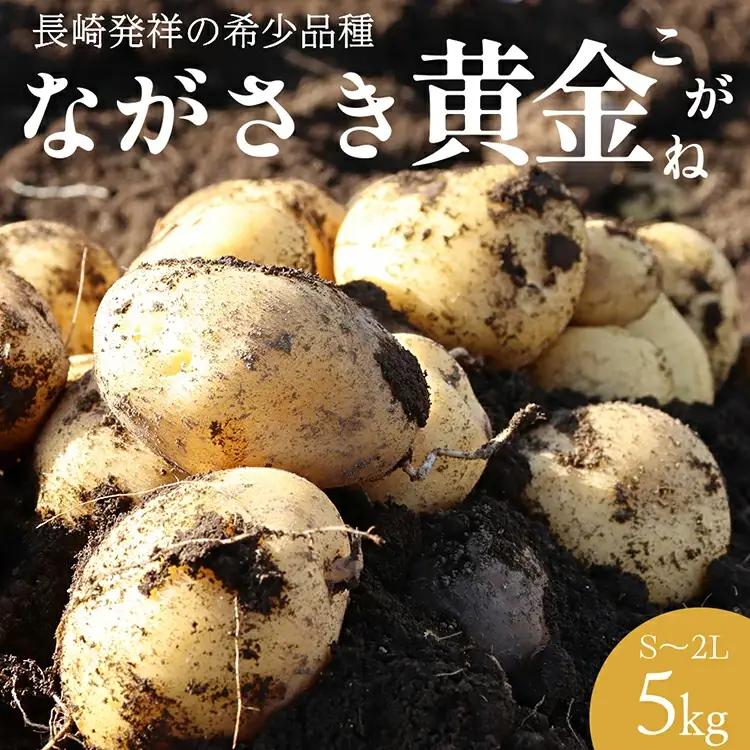 BH048 じゃがいも 希少品種 ながさき黄金 S〜2Lサイズ混合 約5kg [ 贅沢宝庫 長崎県 島原市 ]