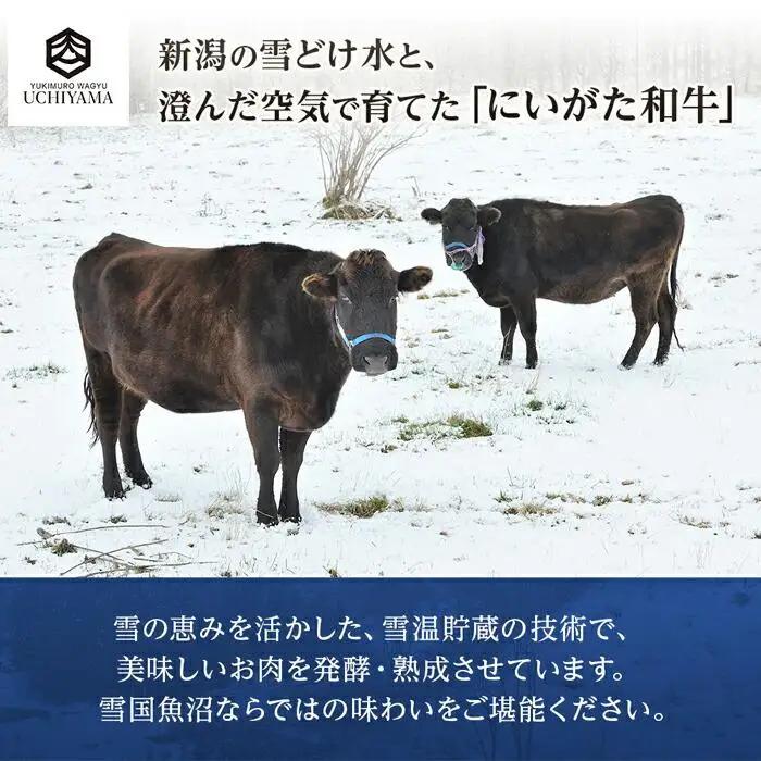 無地熨斗 ビーフシチュー 200g 2個 計400g にいがた和牛 黒毛和牛 国産 肉 牛肉 新潟県 南魚沼市 冷凍 のし gift お土産 プレゼント 贈答 贈答品 YUKIMURO WAGYU U