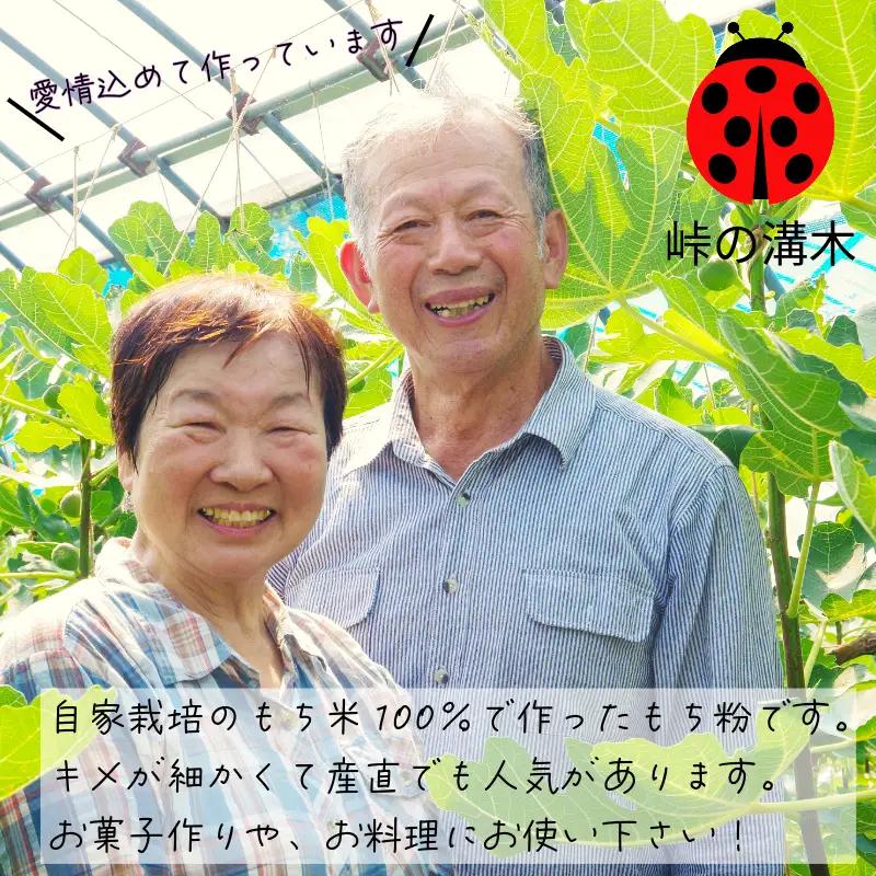 もち粉 溝木さんの餅粉 1kg(500g×2袋） グルテンフリー 白玉 みたらし団子 おしるこ 餅 餅粉 お正月 もち おもち omochi 国産 自家製 小松島市