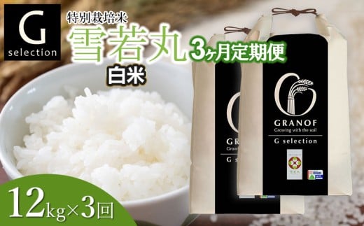 【令和7年産】【新米】【定期便3ヶ月】 Gセレクション 雪若丸「精米」 12kg (6kg×2袋)×3ヶ月 山形県鶴岡市産　株式会社グラノフ