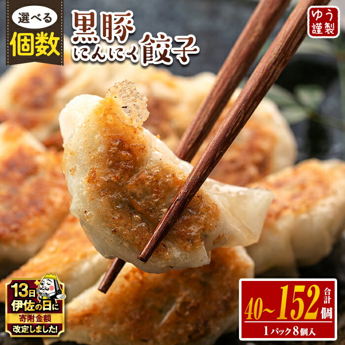 手づくり黒豚にんにく餃子 計50個(10個入り×5P) 特製餃子のタレ付き！