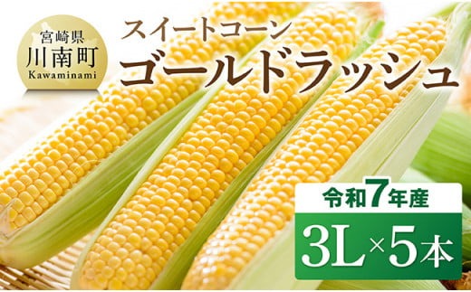 【令和7年発送】宮崎県産とうもろこし　スイートコーン「ゴールドラッシュ」3L×5本【新鮮 農家直送 トウモロコシ 産地直送 季節限定 期間限定 宮崎県産 九州産】[D09108]