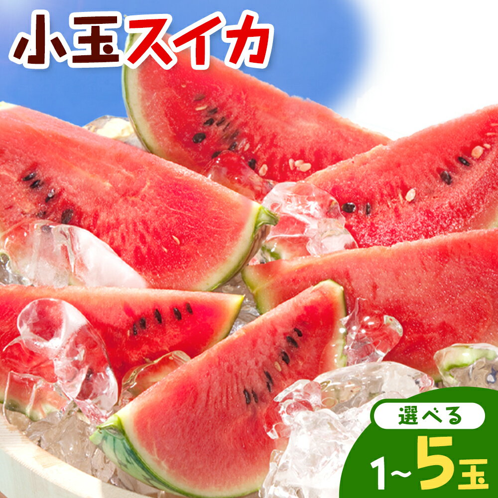 【ふるさと納税】小玉スイカ 選べる 1玉 約1.5kg 2玉 約3kg 3～5玉 約4.5kg 日本フルーツ株式会社 《4月下旬-7月下旬頃出荷》 こだますいか 西瓜 すいか フルーツ 果物 くだもの 旬 熊本県 菊池市 熊本県産 くまもと