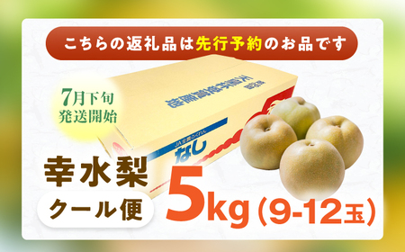 【★先行予約★ 2025年7月下旬より発送】梨（幸水）約5kg 広川町 / JAふくおか八女農産物直売所どろや[AFAB060]