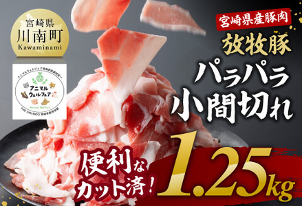 宮崎県産豚肉放牧豚パラパラ小間切れ1.25kg【 豚肉 豚 肉 小間切れ 細切れ 炒め物 】