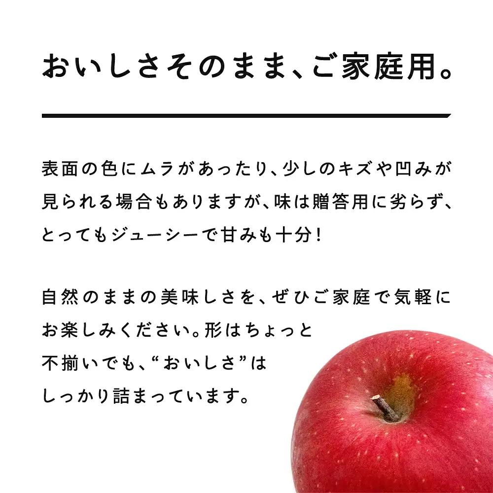 先行予約 ご家庭用 2026年 令和8年産 山形県産 サンふじ りんご 林檎 リンゴ 3kg(6~10玉) yf-risfk3 ※沖縄・離島への配送不可