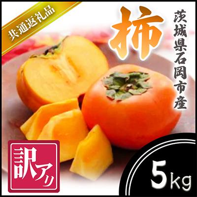 ふるさと納税 城里町 【2025年10月より順次発送予定】訳あり　柿　5kg(県内共通返礼品:石岡市産)